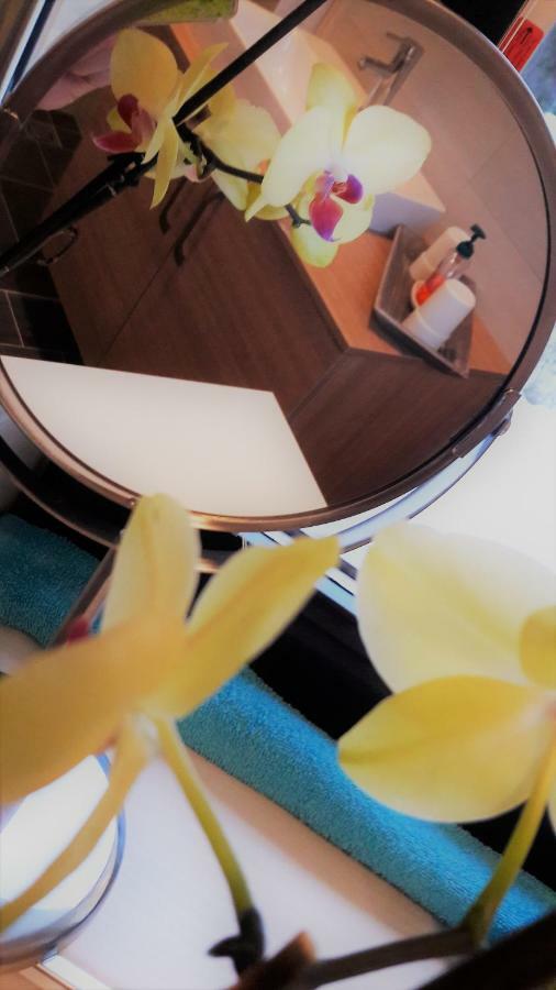 Ferienwohnung Michaela ลัคเคินฮอฟ ภายนอก รูปภาพ
